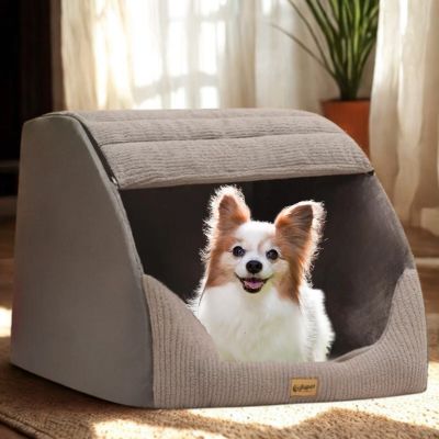 niche intérieur chien HouseDog