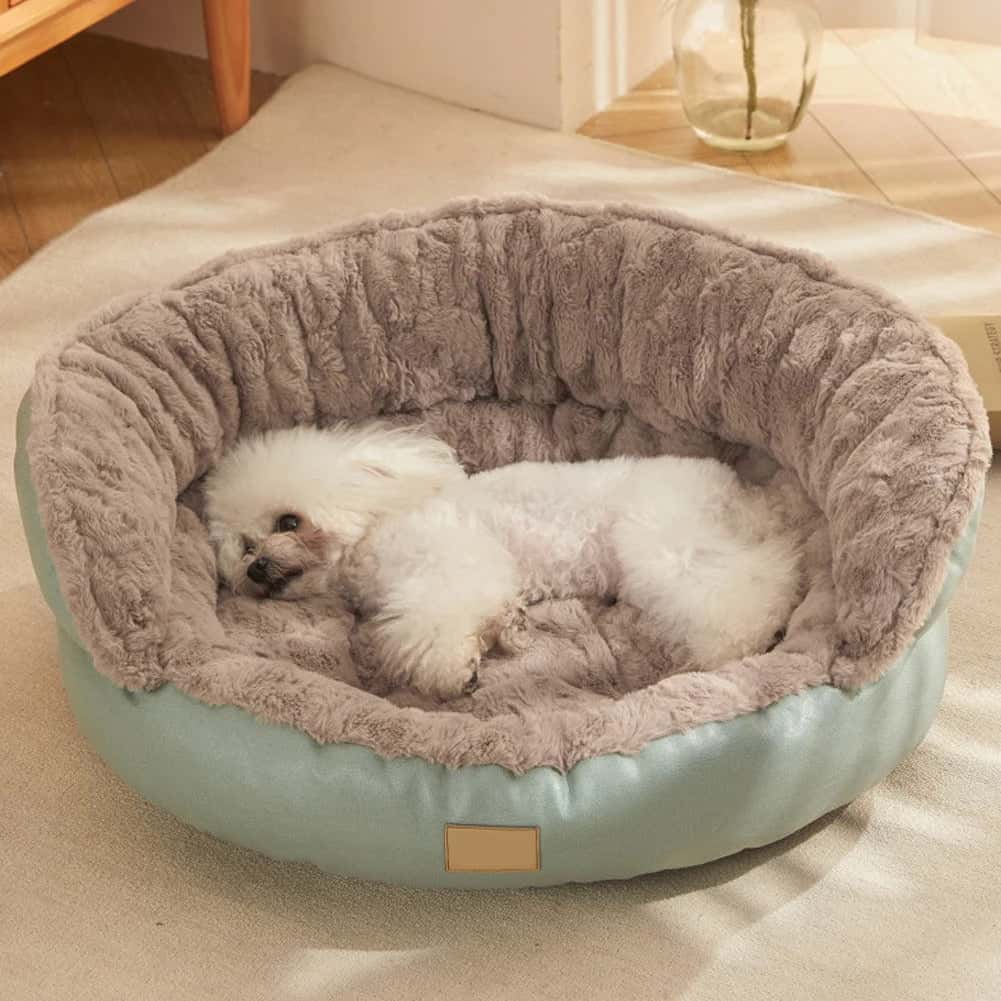 panier chien Cooling confortable