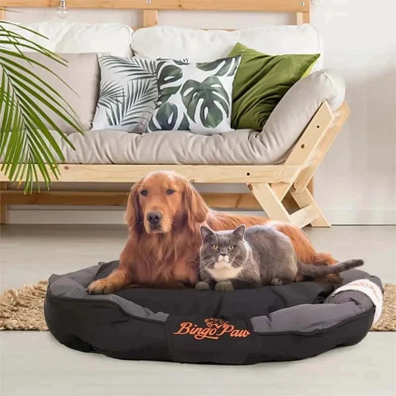 panier-pour-chien-Bingo-Paw