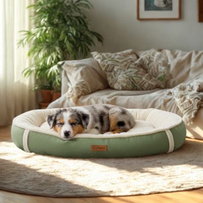 panier-pour-chien-Hamper anti-stress