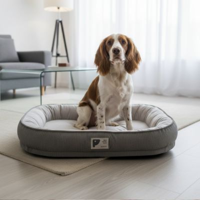 panier pour chien Lair anti stress