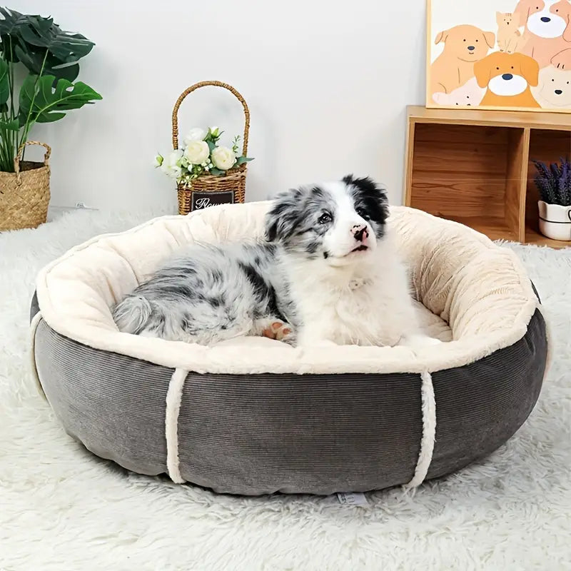panier pour chien Moly doux
