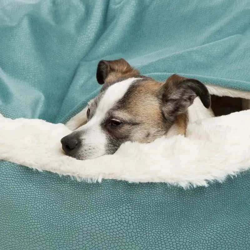 panier pour chien Sam confortable