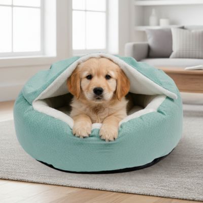 panier-pour-chien-Sam