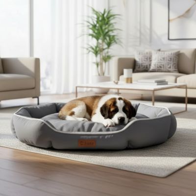panier pour chien Scuttle durable