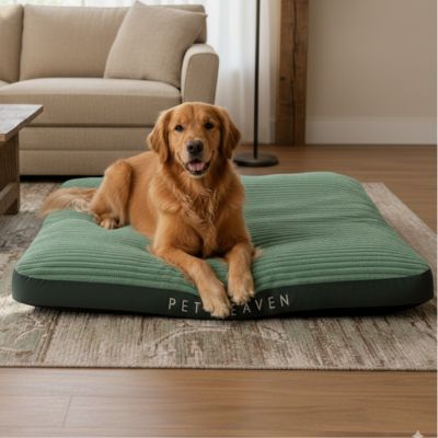 panier pour chien Widebed