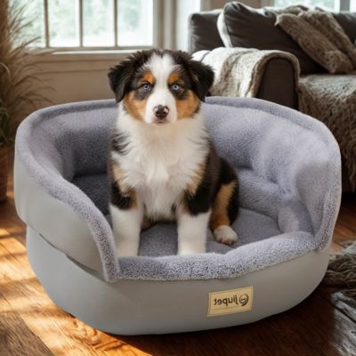 panier pour chien cooling confortable