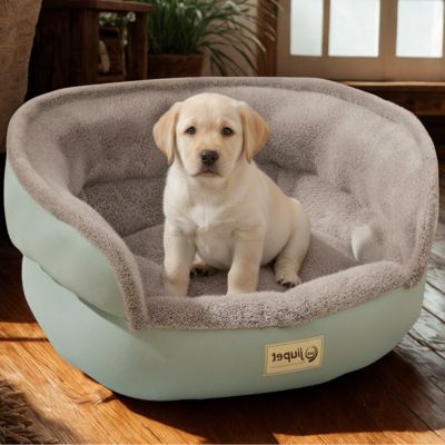 panier pour chien cooling durable