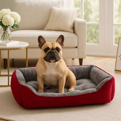 panier pour chien durable beddog