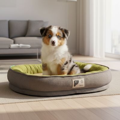 panier pour chien lair confortable