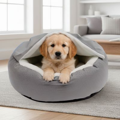 panier pour chien molleux Sam