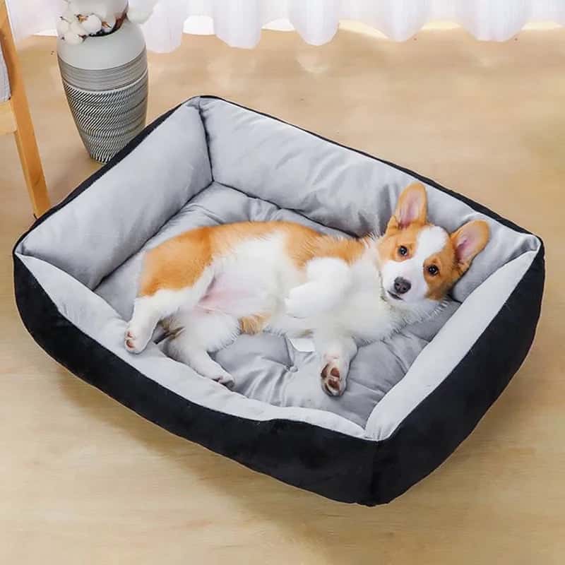 panier pour chien noir gris Sofa