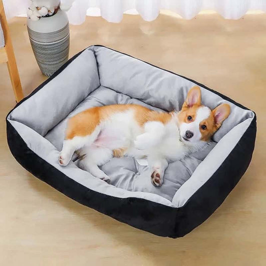 panier-pour-chien-noir-gris-Sofa