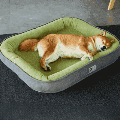 panier-pour-chien-vert-gris-Lair