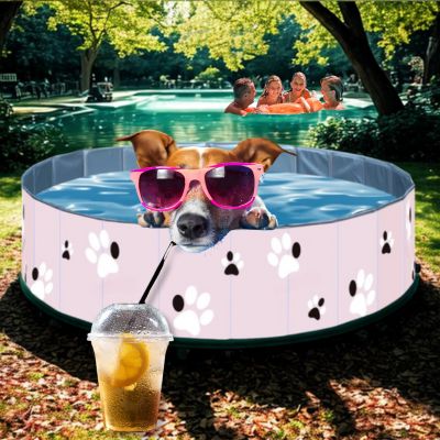 piscine chien rafraichissante Swimdog