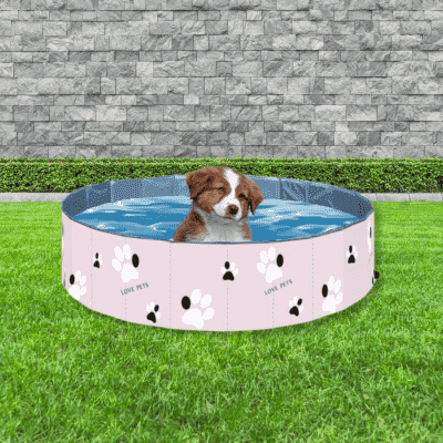 piscine-pour-animaux