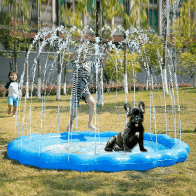 piscine-pour-chien-amusante