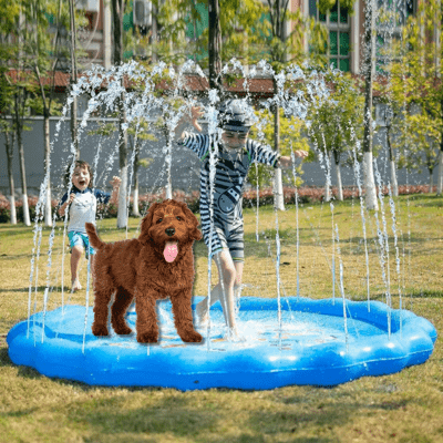 piscine-pour-chien-esthétique