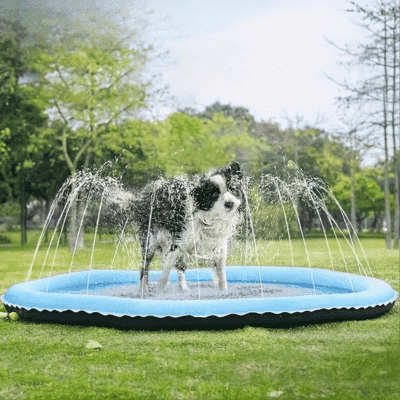 piscine-pour-chien-esthetique