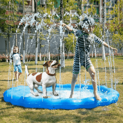piscine-pour-chien-jets-d-eau