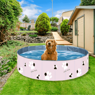 piscine-pour-chien-prend-pas-de-place