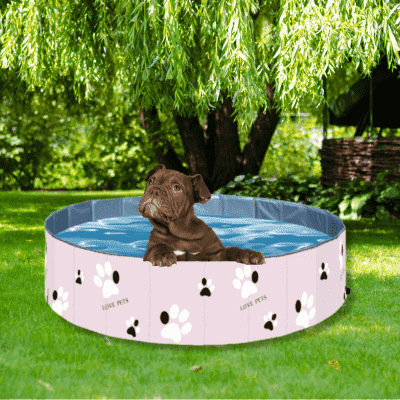 piscine-pour-chiot
