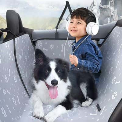 protection chien voiture CleanCar