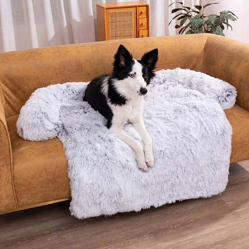 protège-canapé-pour-chien-esthétique