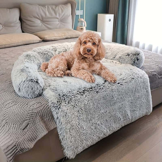 protège-canapé-pour-chien-moelleux