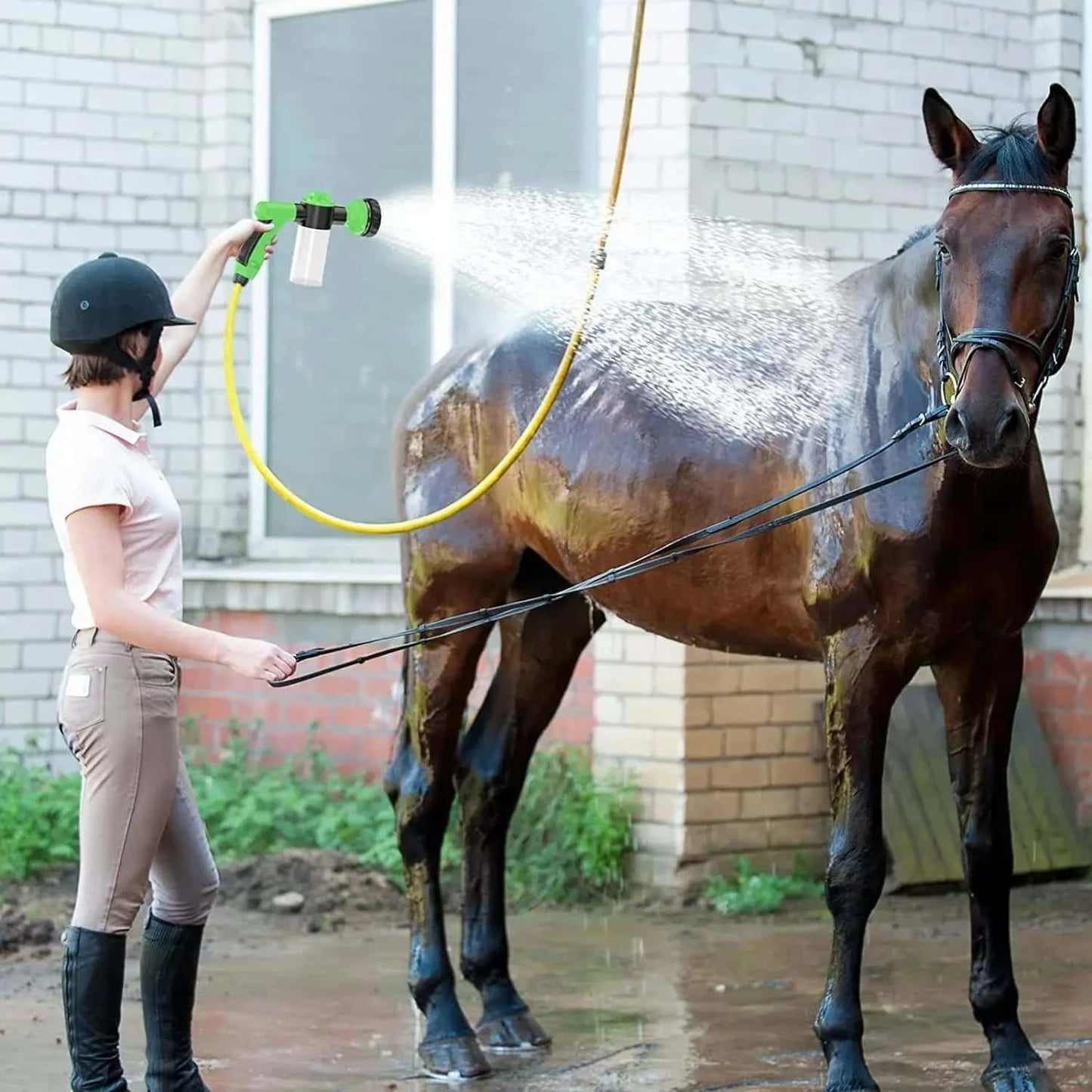 pulverisateur-pour-chevaux