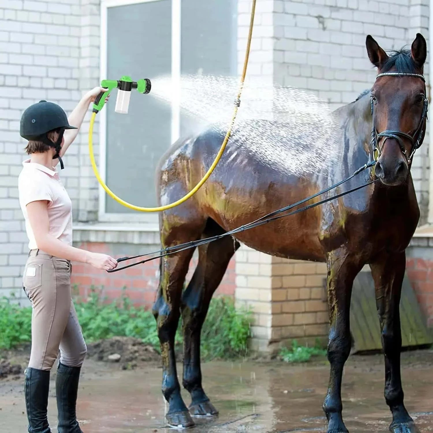 pulverisateur-pour-chevaux