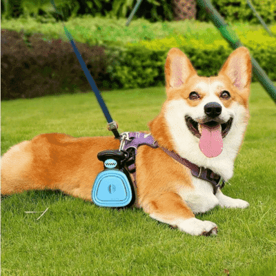 ramasse-crottes-pour-chien-compartiment-sac-a-crottes