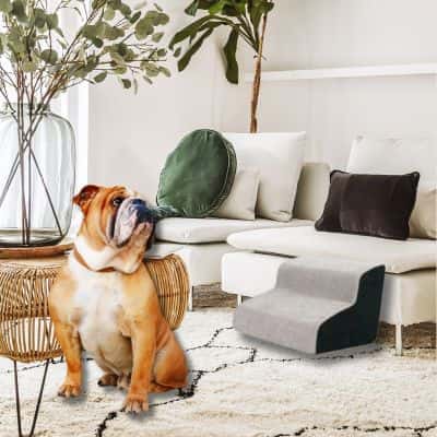 rampe-pour-chien-2-marches