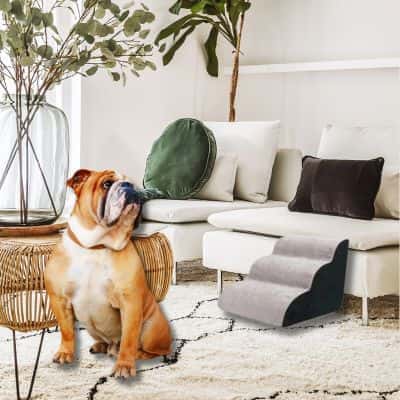rampe-pour-chien-3-marches