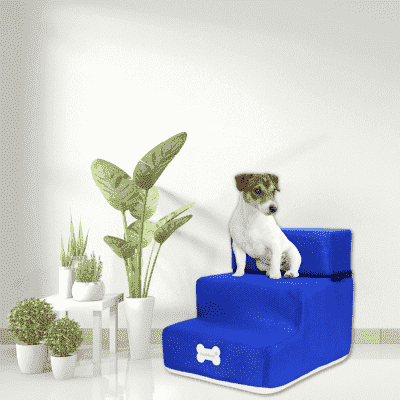 rampe-pour-chien-bleu