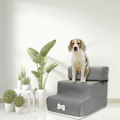 rampe-pour-chien-grise