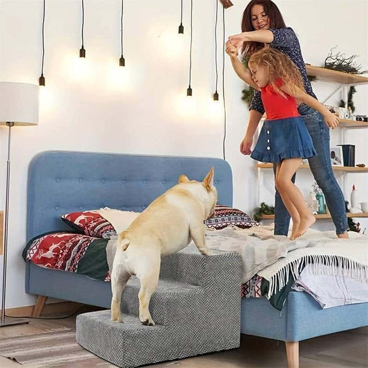 rampe-pour-chien-pratique