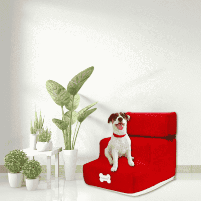 rampe-pour-chien-rouge