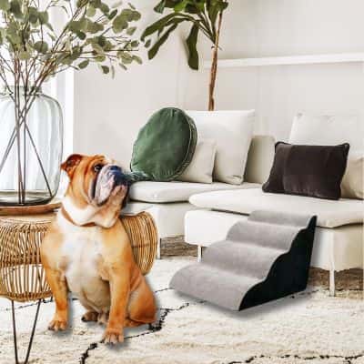 rampe-pour-chien