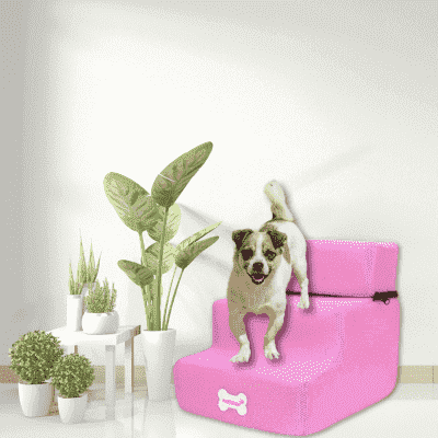 rampe-pour-chien