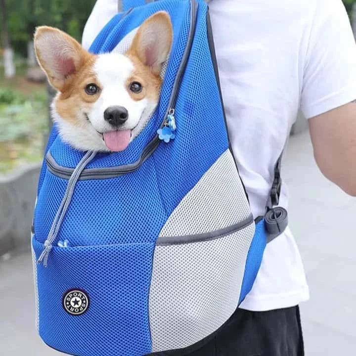 sac-à-dos-pour-chien-bleu