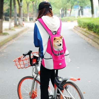 sac-à-dos-pour-chien-pratique