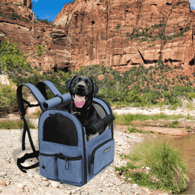 sac-à-dos-pour-chien-spacieux