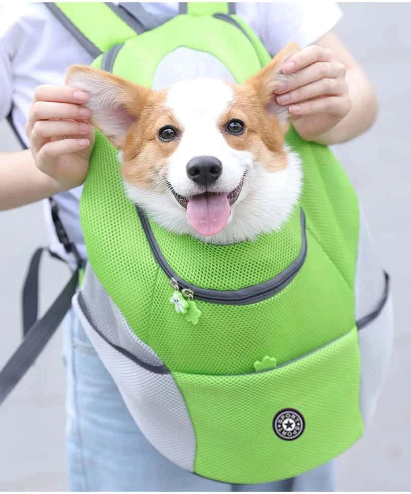 sac-à-dos-pour-chien
