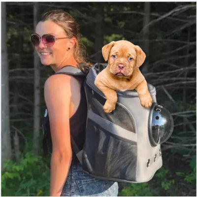 sac à dos chien Grade confortable