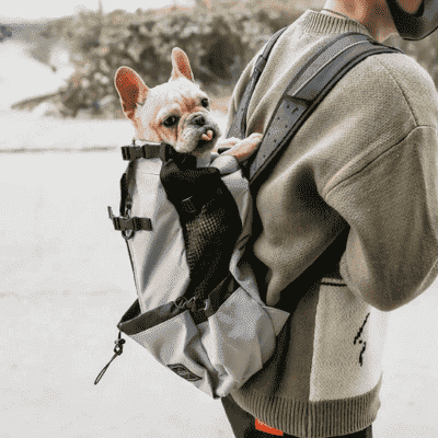 sac à dos pour chiens BagDog gris
