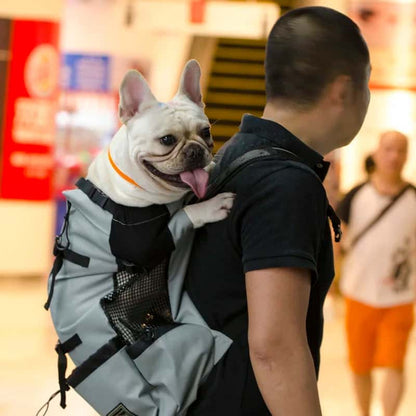 sac à dos pour chiens BagDog sécuritaire