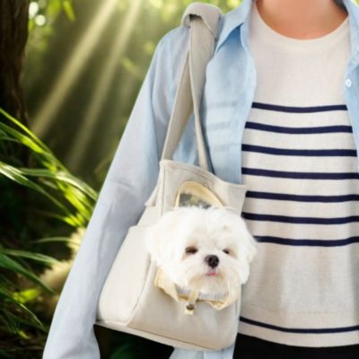 sac de transport chien Cosy ventilé
