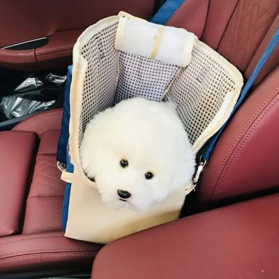 sac de transport chien Pretty siège auto