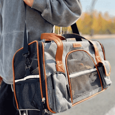 sac de transport chien Tidy